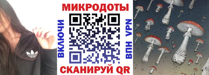 omg рабочий сайт  Котовск  Галлюциногенные грибы Psilocybe  сколько стоит 
