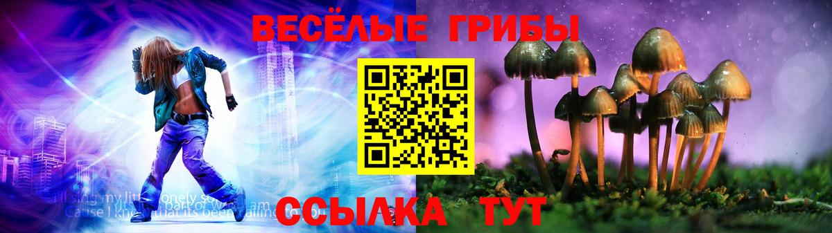 Псилоцибиновые грибы Psilocybine cubensis  Вход с VPN  Котовск 